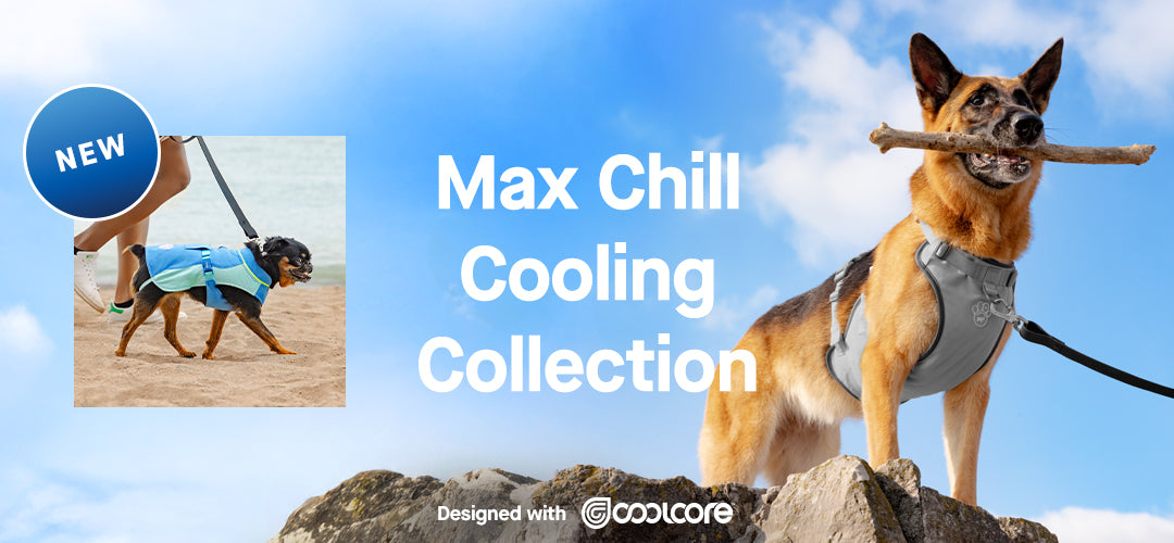 Dog Cooling Clothes - Shirts, Accessories & More | Canada Pooch