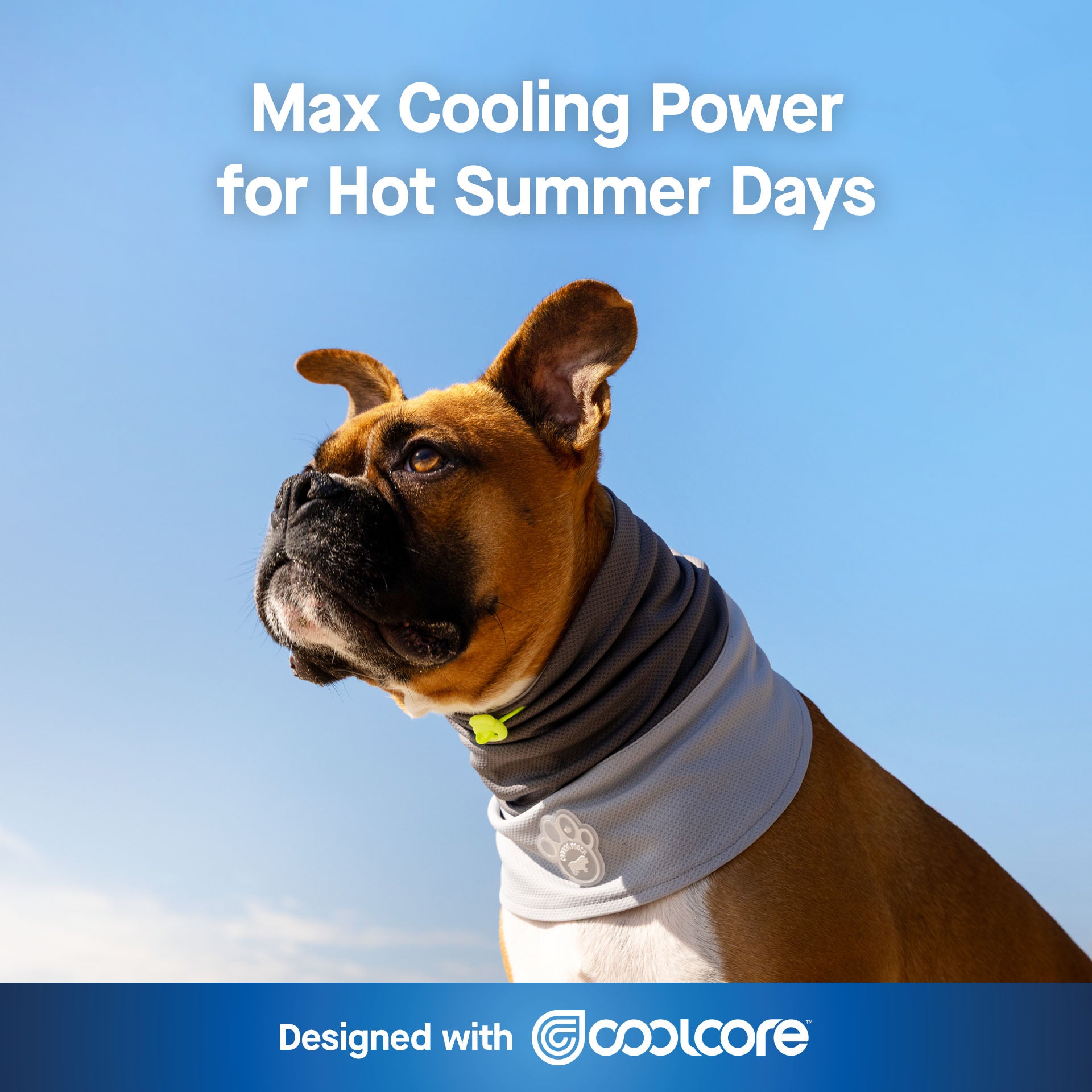 Max Chill Cooling Dog Snood | Canada Pooch