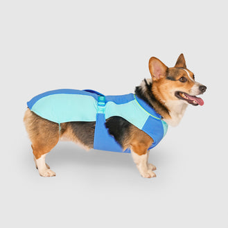 Max Chill Cooling Vest in Blue, Canada Pooch Dog Vest