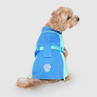Max Chill Cooling Vest in Blue, Canada Pooch Dog Vest|| color::blue|| size::S|| name:: Pluto the Maltipoo|| weight::8