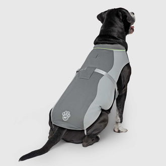Max Chill Cooling Vest in Grey, Canada Pooch Dog Vest|| color::grey|| size::XL|| name:: Cowboy the Bullmastiff Mix|| weight::92