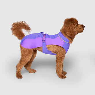 Max Chill Cooling Harness in Purple, Canada Pooch Dog Vest