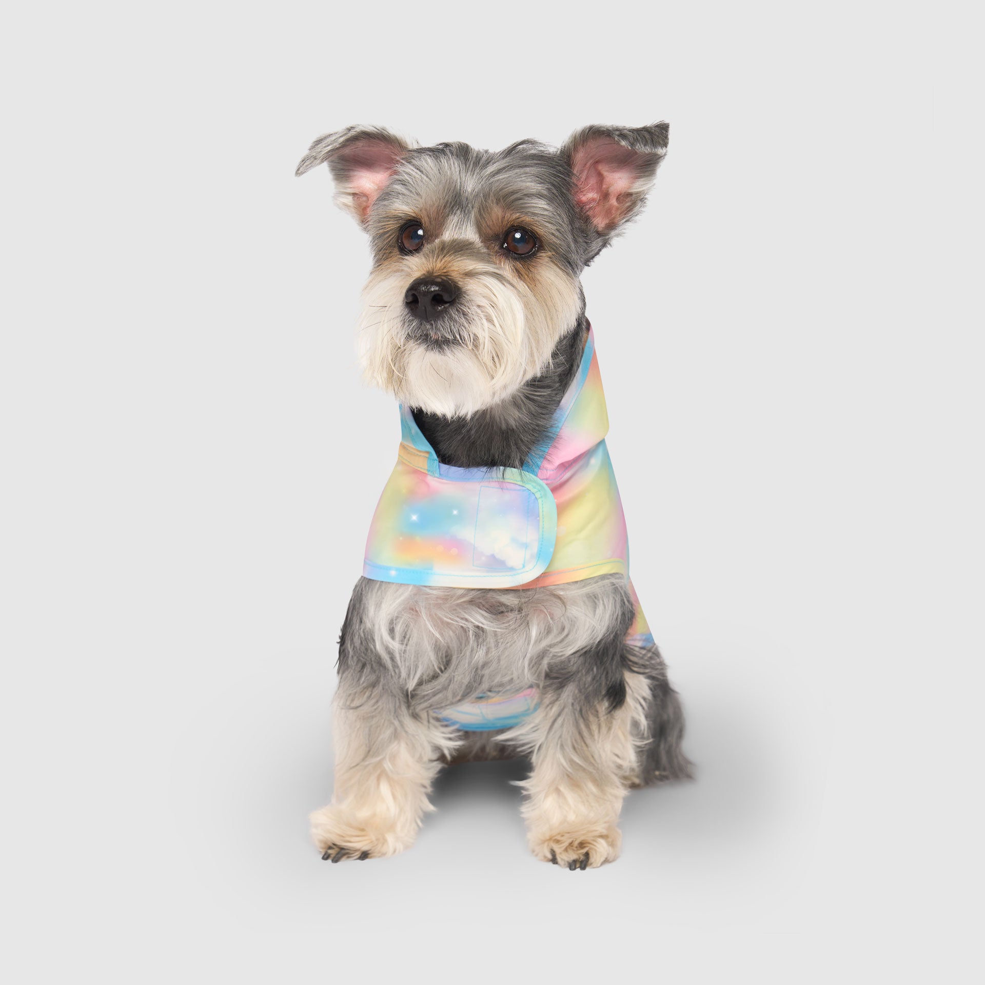 The Pick Me Poncho Dog Raincoat | Canada Pooch