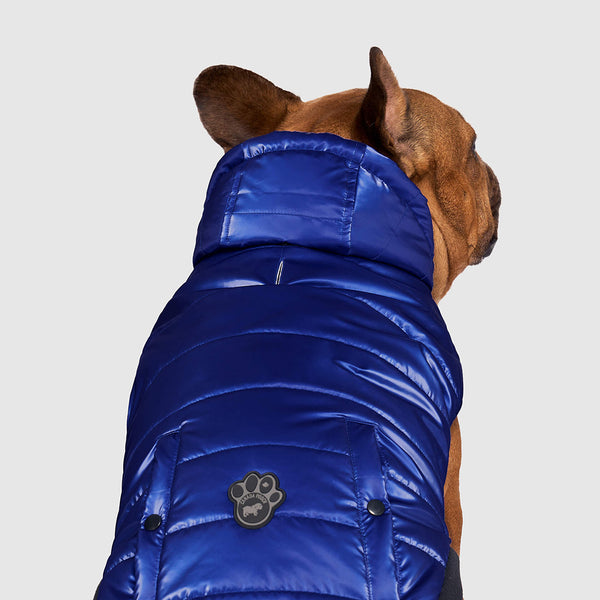 Shiny Dog Puffer Jacket | Canada Pooch