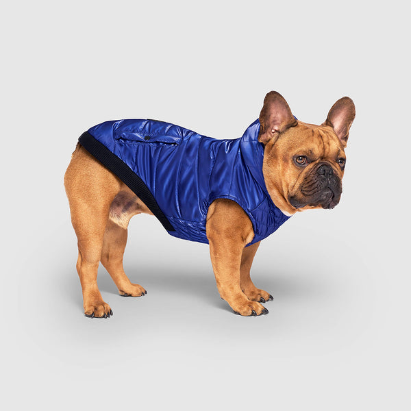 Shiny Dog Puffer Jacket | Canada Pooch