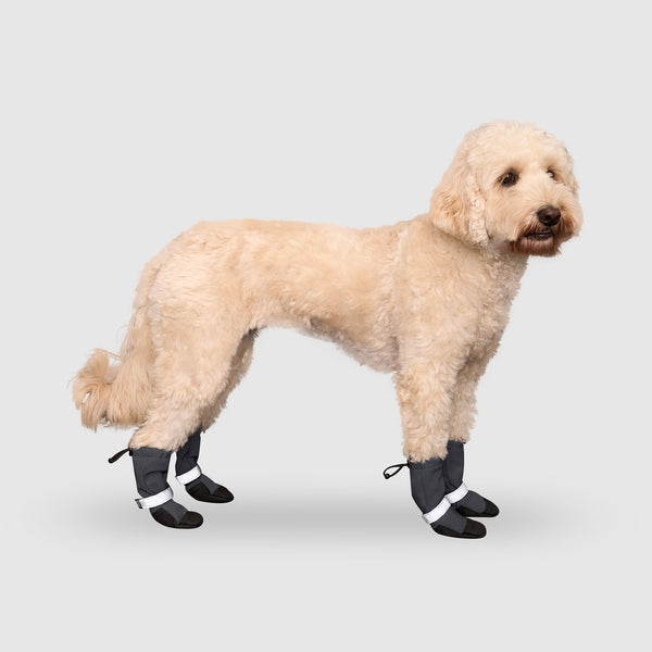 Soft Shield Dog Boots in Reflective, Canada Pooch, Dog Boot
