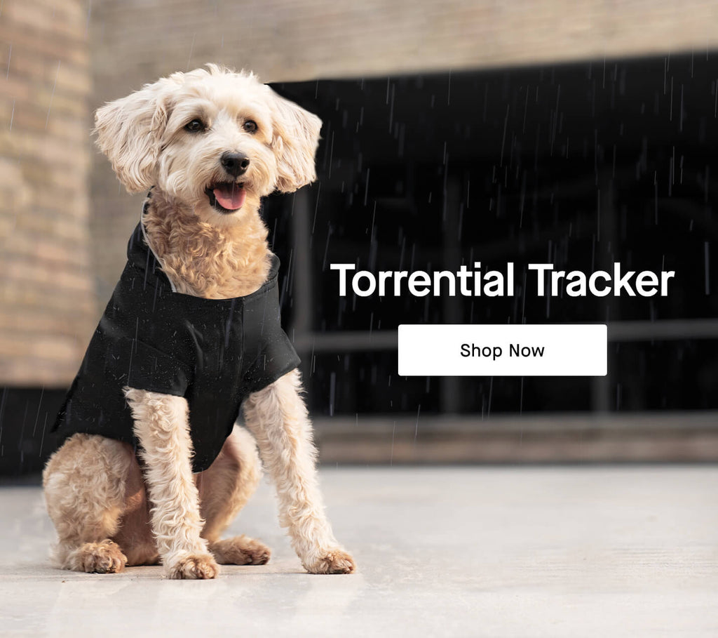 Canada Pooch Dog Clothes and Accessories Dog Apparel