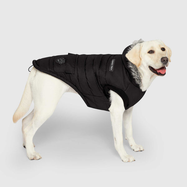 True North Parka in Black, Canada Pooch Dog Parka|| color::black|| size::24|| name:: Lilo the Labrador Retriever|| weight::56