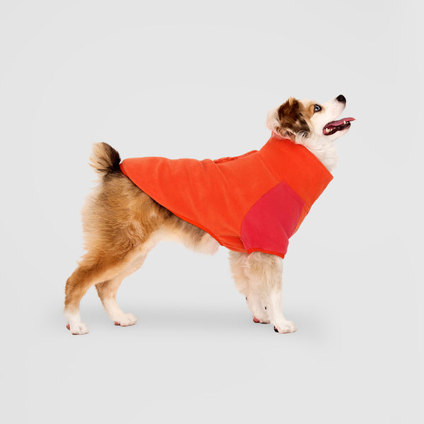 Weather-Resistant Fleece Pullover in Cayenne, Canada Pooch Dog Sweater || color::cayenne || name::Onyx the mini Australian Shepherd || size::14