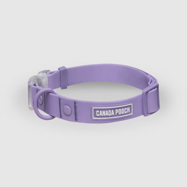 Waterproof Dog Collar Canada Pooch