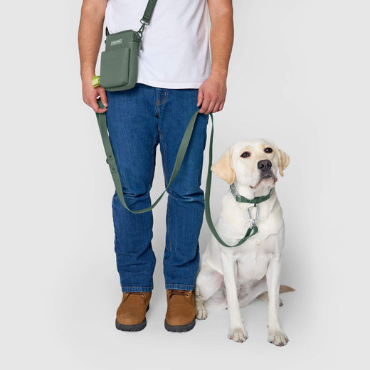 Waterproof Leash in Forest Green, Canada Pooch, Dog Leash