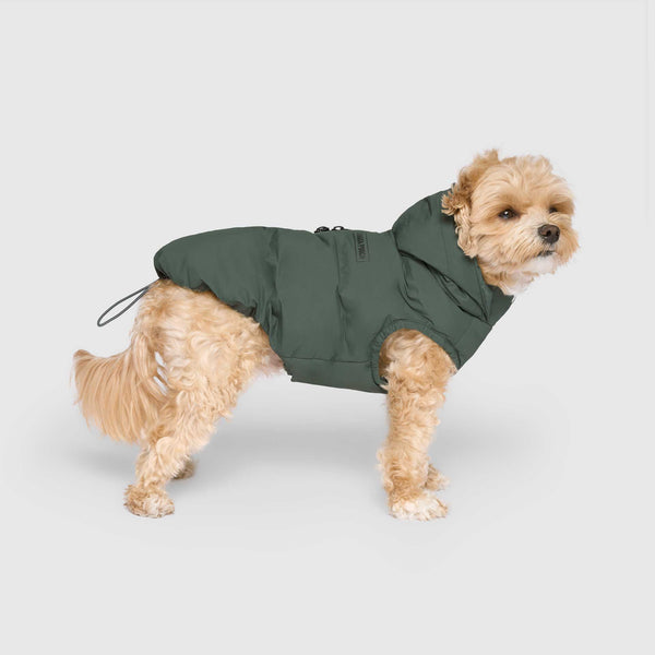 Waterproof Puffer in Forest Green, Canada Pooch Dog Parka|| color::forest-green|| size::10|| name:: Pluto the Maltipoo|| weight::8