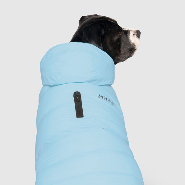 The Waterproof Puffer - Insulated Dog Parka | Canada Pooch