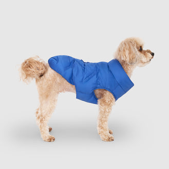 Waterproof Sport Puffer in Electric Blue, Canada Pooch Dog Jacket|| color::electric-blue ||name:: Louis the Yorkipoo||size:: 12