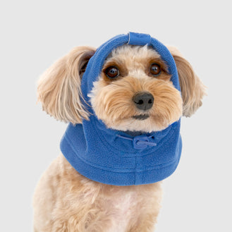 Weather-Resistant Fleece Balaclava in Electric Blue, Canada Pooch Dog Balaclava || color::electric-blue || name::Louis the Yorkipoo || size::s