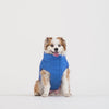 Waterproof Sport Puffer in Cayenne, Canada Pooch Dog Jacket|| color::cayenne