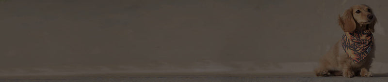 Account Hero Banner Image