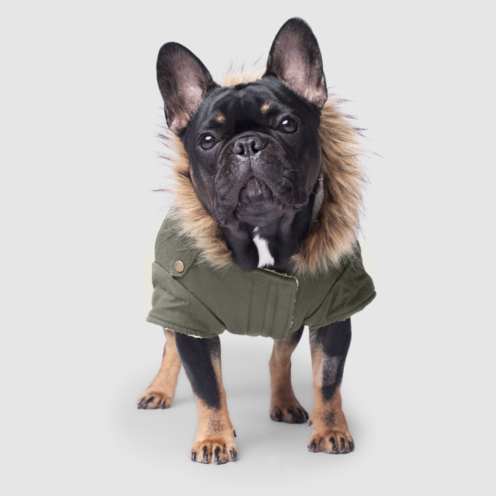 Dog Jacket Canada Pooch Winter Wilderness Jacket Parka Canada
