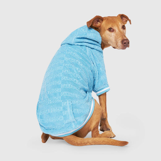 BASIL Pet Towel, Cooling Absorbent Towel for Dogs & Puppies (Blue)