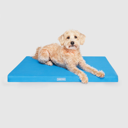 Chill Out Cooling Mat in Blue, Canada Pooch Dog Cooling