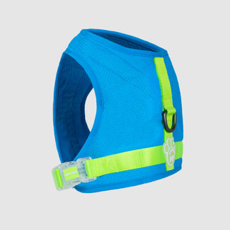The Chill Seeker Cooling Harness in Blue Green, Canada Pooch Dog Harness || color::blue-green || size::na