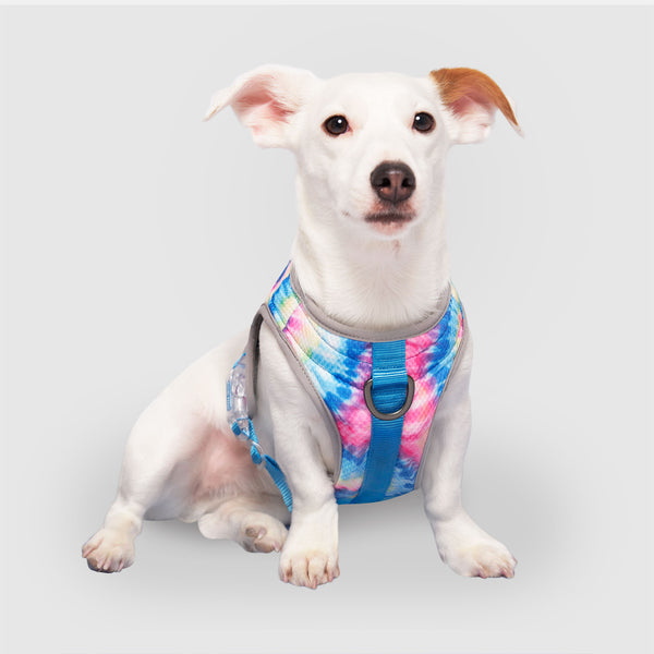 Chill Seeker Dog Cooling Harness | Canada Pooch