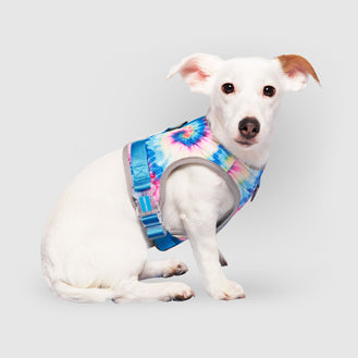 Chill Seeker Cooling Harness in Tie Dye, Canada Pooch Dog Harness 