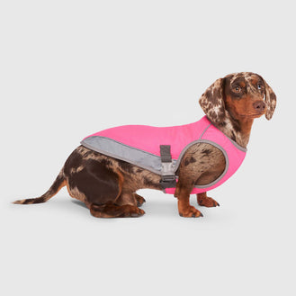 Chill Seeker Cooling Vest in Neon Pink, Canada Pooch Dog Cooling Vest