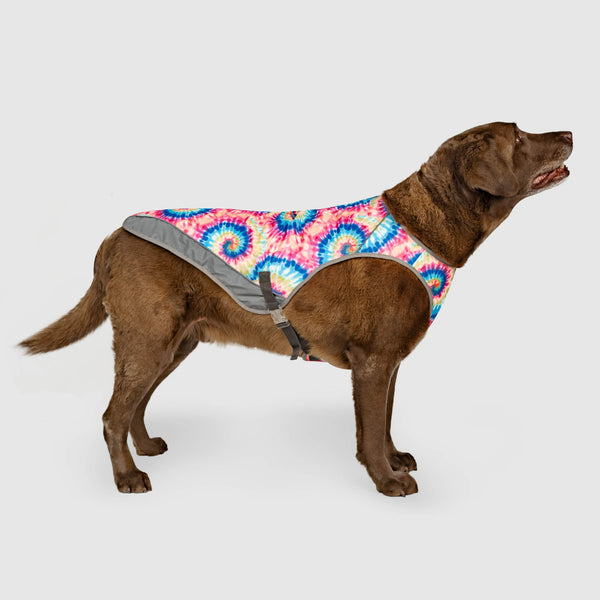 Canada pooch cooling vest deals