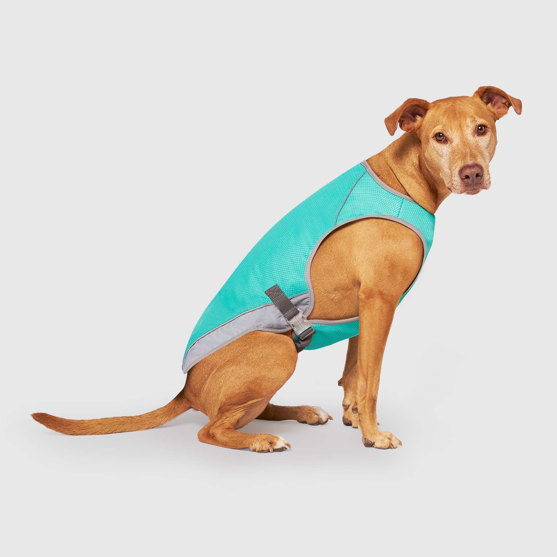 Wet Reveal Summer Dog Cooling Vest Canada Pooch