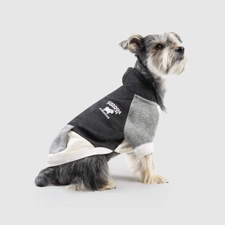Colorblock Dog Hoodie in Black & Grey, Canada Pooch Dog Hoodie 