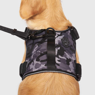 No Pull Pet Dog Harness Heavy Duty Genuine Leather Control Vest & Handle  XL-3XL