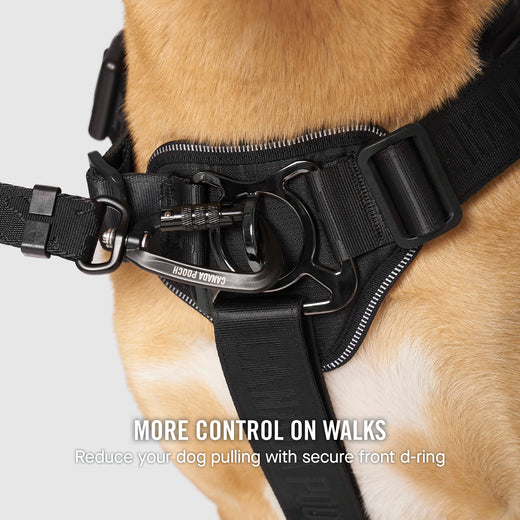 Complete Control Dog Harness for Pullers