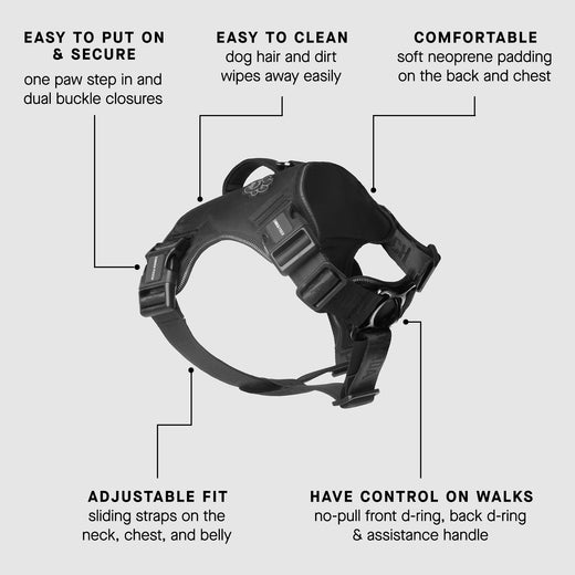Gallery Detail: 7 Best Dog Harnesses 2026 Researched Tested Reviewed