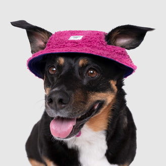 Cool Factor Bucket Hat in Pink Purple, Canada Pooch Dog Hat
