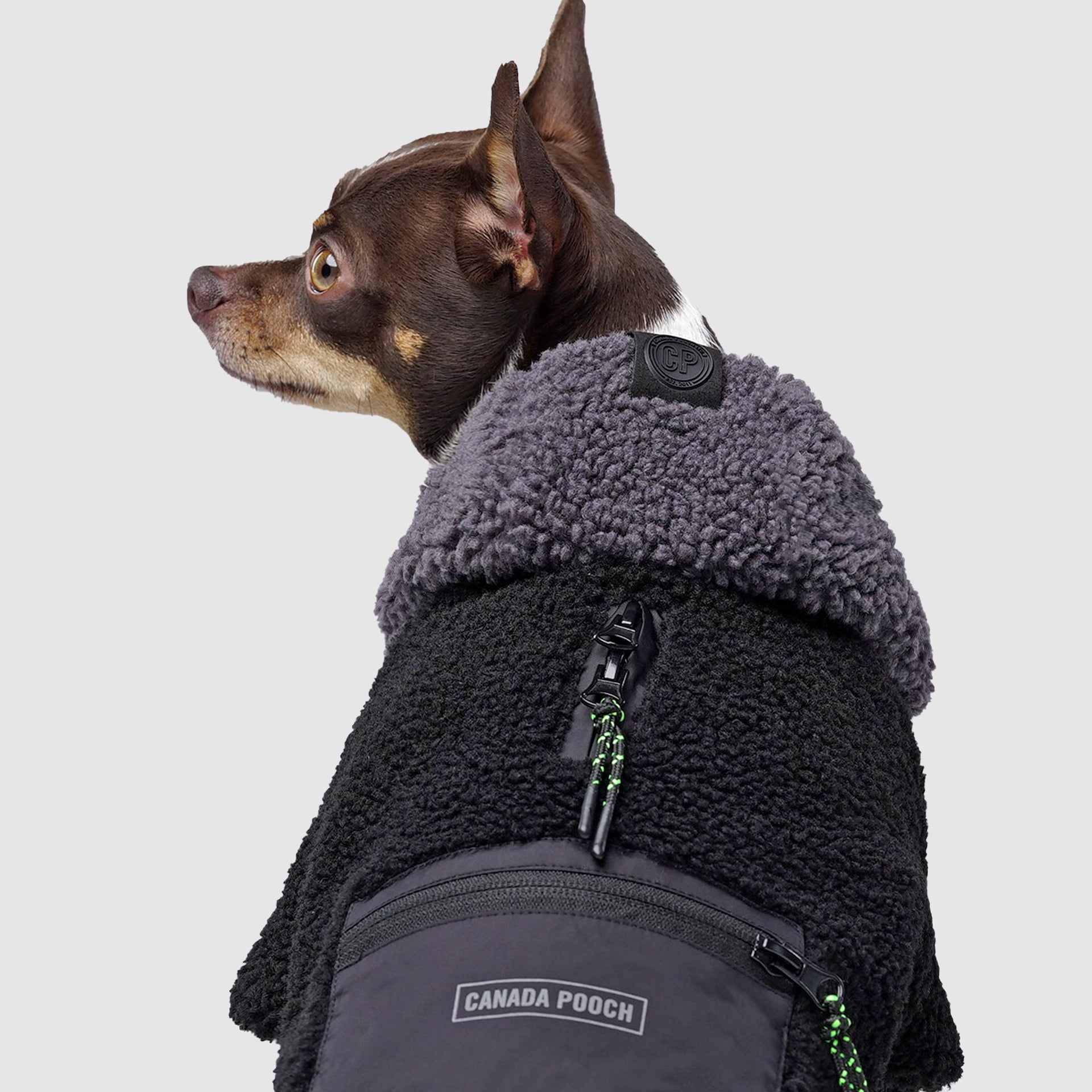 Cool Factor Sherpa Hoodie for Dogs | Canada Pooch