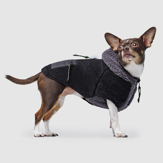 Dog Pajamas  10 Cute, Cozy, and Stylish Options for Your Dog