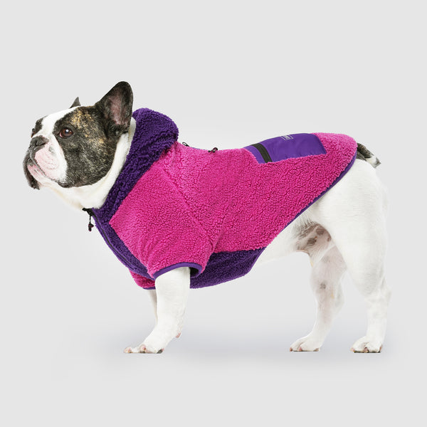 Cool Factor Hoodie in Pink Purple, Canada Pooch Dog Hoodie|| color::pink-purple|| size::18|| name:: Bob The French Bulldog|| weight::30