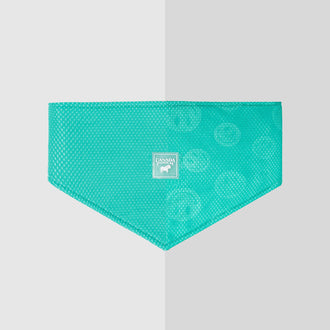Cooling Bandana Wet Reveal in Wet Reveal Smiley, Canada Pooch, Dog Bandana|| color::green-smiley|| size::na