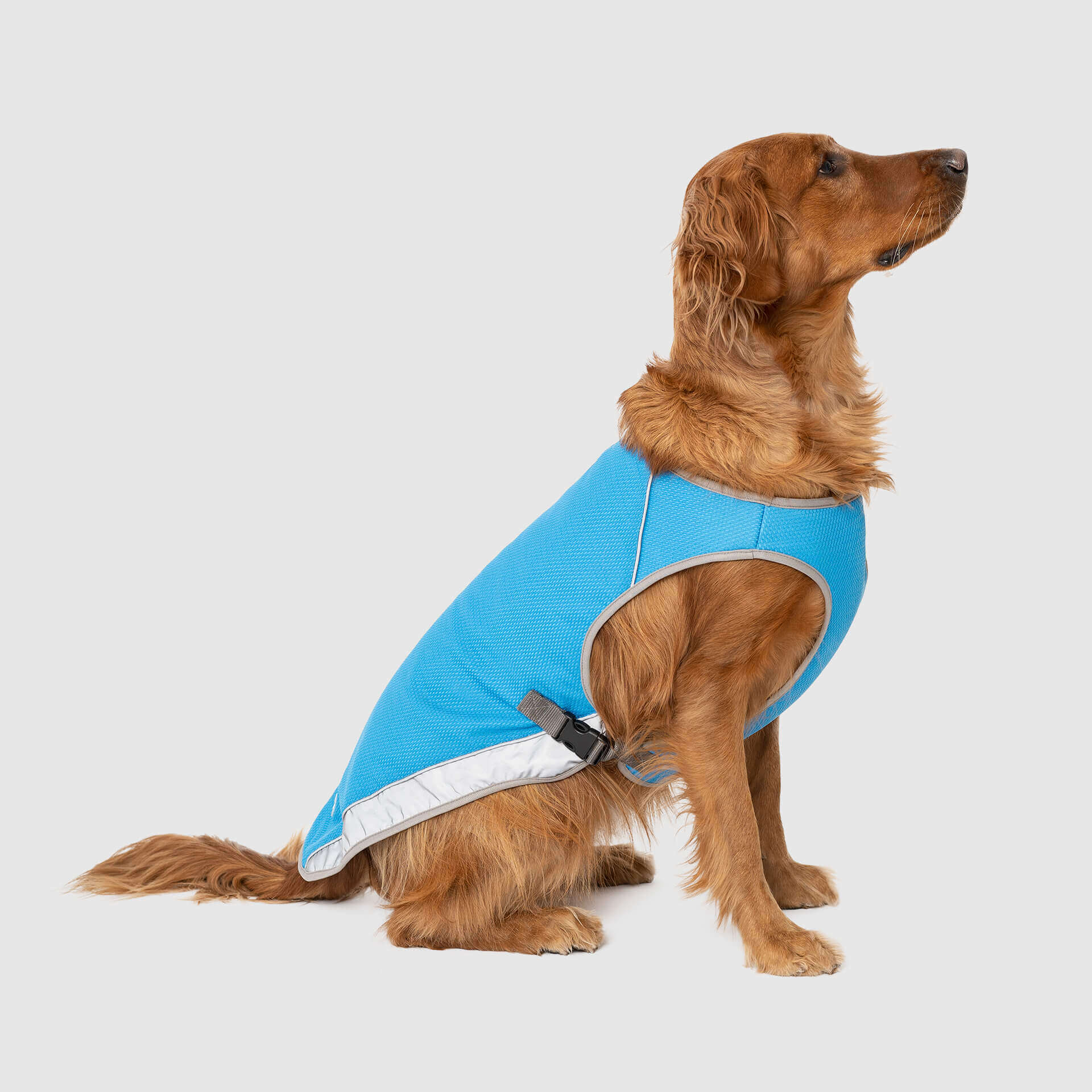 Chill Seeker Dog Cooling Vest Canada Pooch