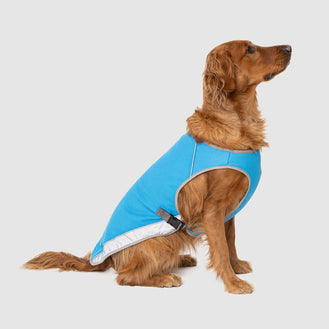Chill Seeker Cooling Vest in Blue, Canada Pooch Dog Cooling Vest