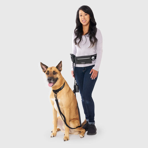 Canada Pooch Utility Belt, Black, Reflective