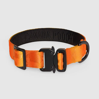 Utility Collar in Orange, Canada Pooch Dog Scarf
