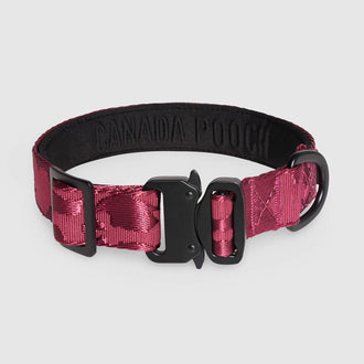 Utility Collar in Plum, Canada Pooch Dog Scarf|| color::plum|| size::na || name::na|| weight::na