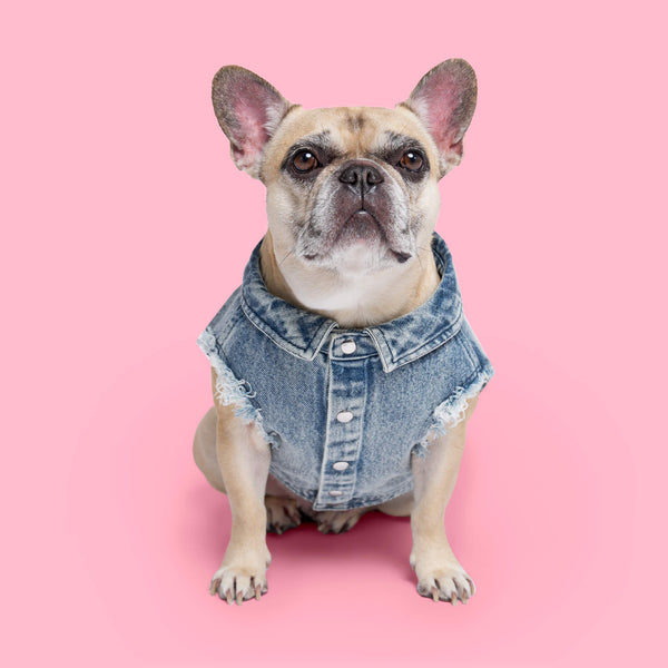 Barbie™ Denim Dog Vest | Canada Pooch