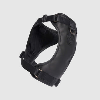 Eco+ Leather Harness in Black, Canada Pooch, Dog Harness|| color::black-leather|| size::na