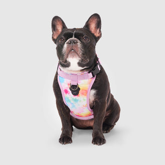Everything Harness Water Resistant Series in Tie Dye, Canada Pooch Dog Harness