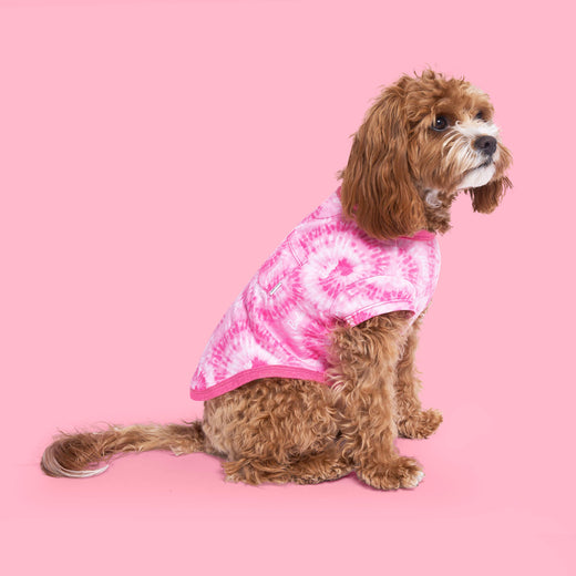 NWT Victoria Secret PINK Small Dog Logo Shirt & Leggings Set! Last One! 