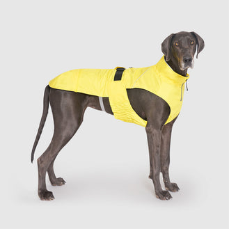 Grow-With-Me Raincoat in Yellow, Canada Pooch Dog Raincoat