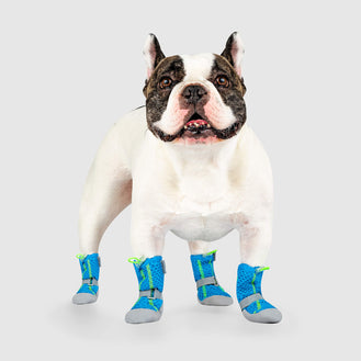 WALKEE PAWS Dog Boot Leggings, Camo, Large 